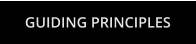 GUIDING PRINCIPLES